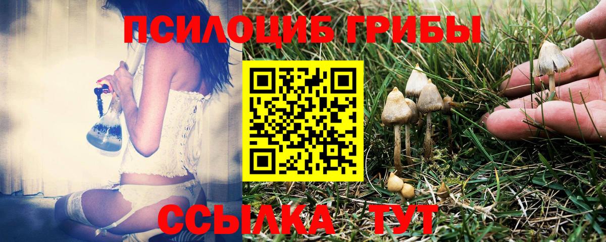 Лабытнанги  Галлюциногенные грибы Psilocybine cubensis  Вход с VPN 
